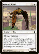 12-courierhawk