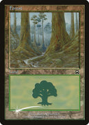 12-forest
