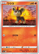 12-litleo
