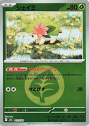 12-shaymin-energysymbolpattern