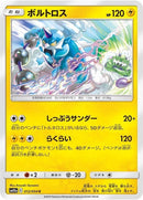 12-thundurus