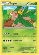 12-tropius