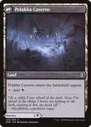 120-pelakkapredationpelakkacaverns-b