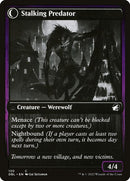 120-shadytravelerstalkingpredator-b