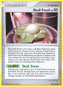 120-skullfossil