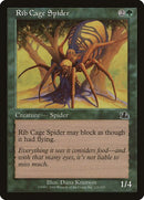 121-ribcagespider