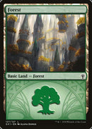 127-forest