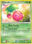 13-cherubi