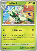 13-floragato