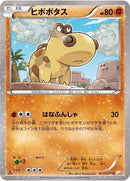 13-hippopotas