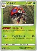 13-orbeetle