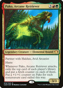 13-pakoarcaneretriever
