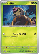13-rellor