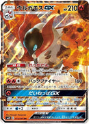 13-volcaronagx