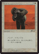 13-warelephant