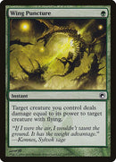 133-wingpuncture
