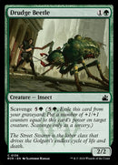136-drudgebeetle