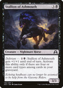 136-stallionofashmouth