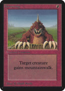 138-burrowing