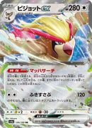139-pidgeotex