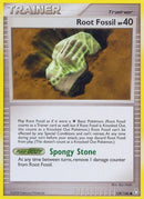 139-rootfossil