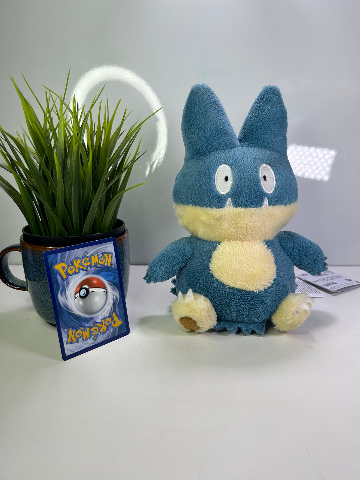 Pokemon Plush Toy - Munchlax - Small  9 inch / 23 cm