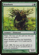 14-briarhorn