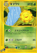 14-sunflora