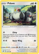 143-pidove