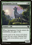144-springmanecervin