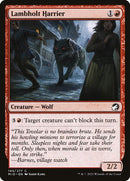 145-lambholtharrier
