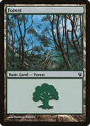 149-forest