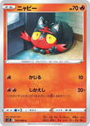 15-litten
