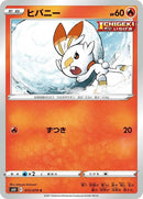 15-scorbunny