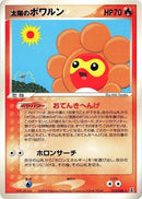 15-sunnycastform