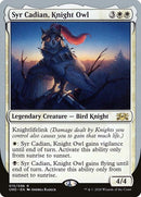 15-syrcadianknightowl