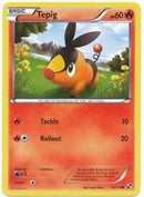 15-tepig15114-cosmosholo