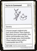 15-youreincommand