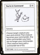15-youreincommand