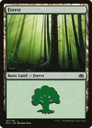 151-forest