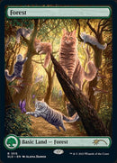 1515-forest
