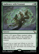 152-audiencewithtrostani