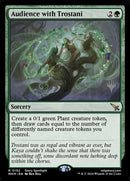 152p-audiencewithtrostani