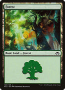 154-forest