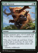 154-fullygrown