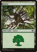 155-forest
