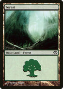 156-forest
