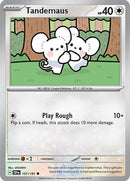 157-tandemaus
