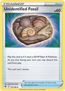 157-unidentifiedfossil