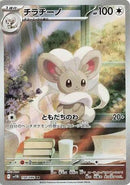 158-cinccino